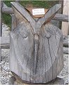 Greifvogel