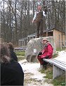 Greifvogel